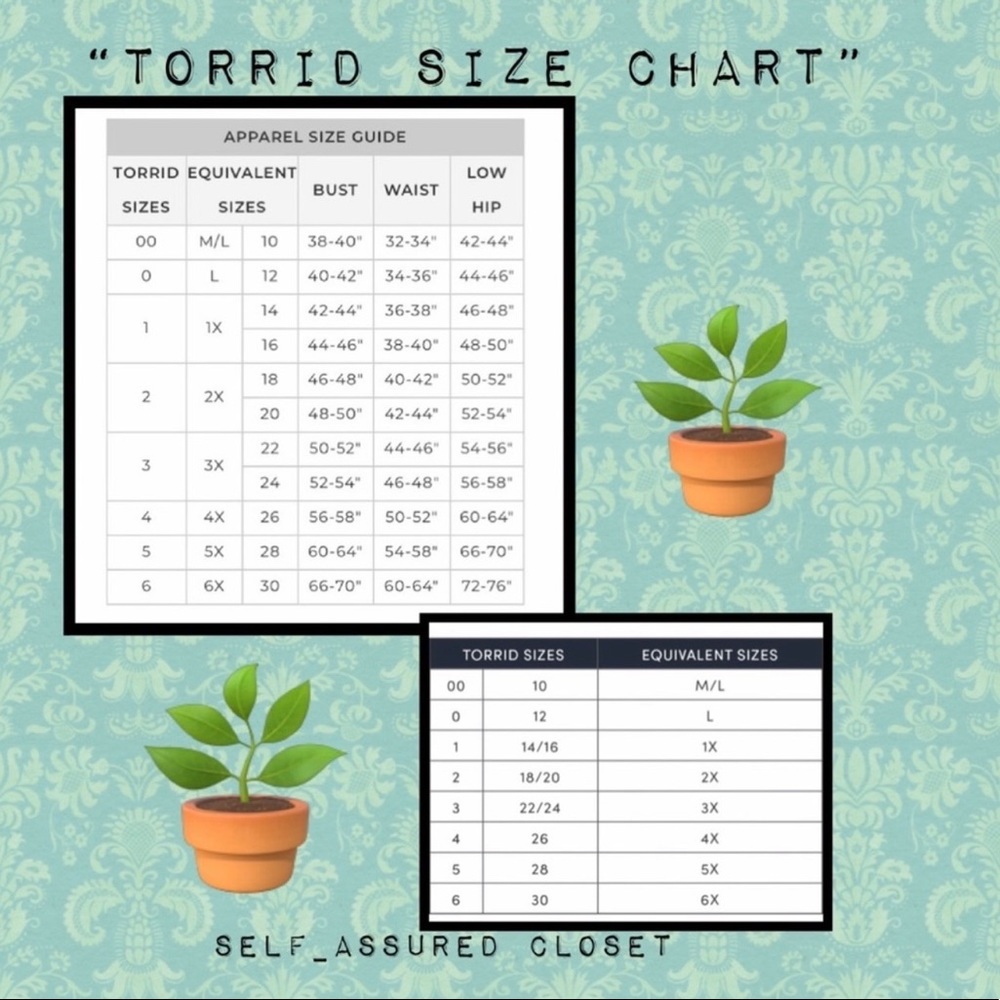 Torrid Top - Picture 8 of 8